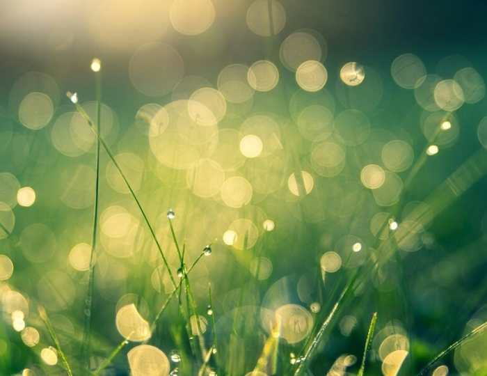 Общетерапевтическая Лайт - Санаторий «Эльбрус» Железноводск