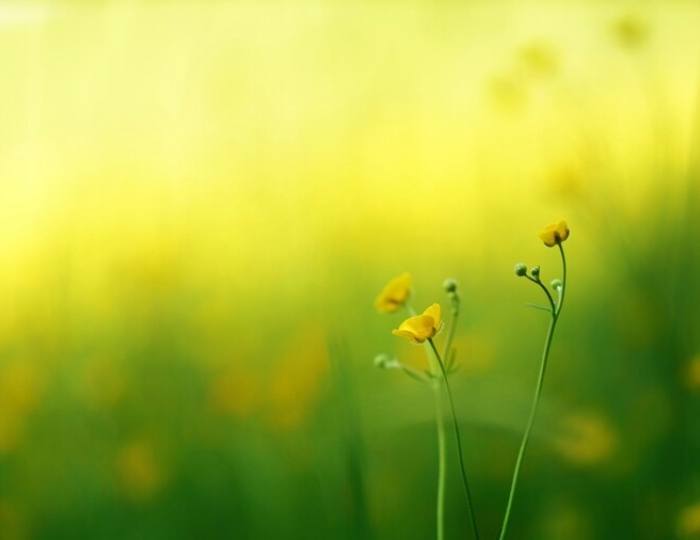 Общетерапевтическая программа - Санаторий «Эльбрус» Железноводск